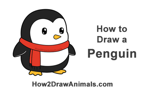 500x315 How To Draw A Penguin - Penguin Drawing Step By Step