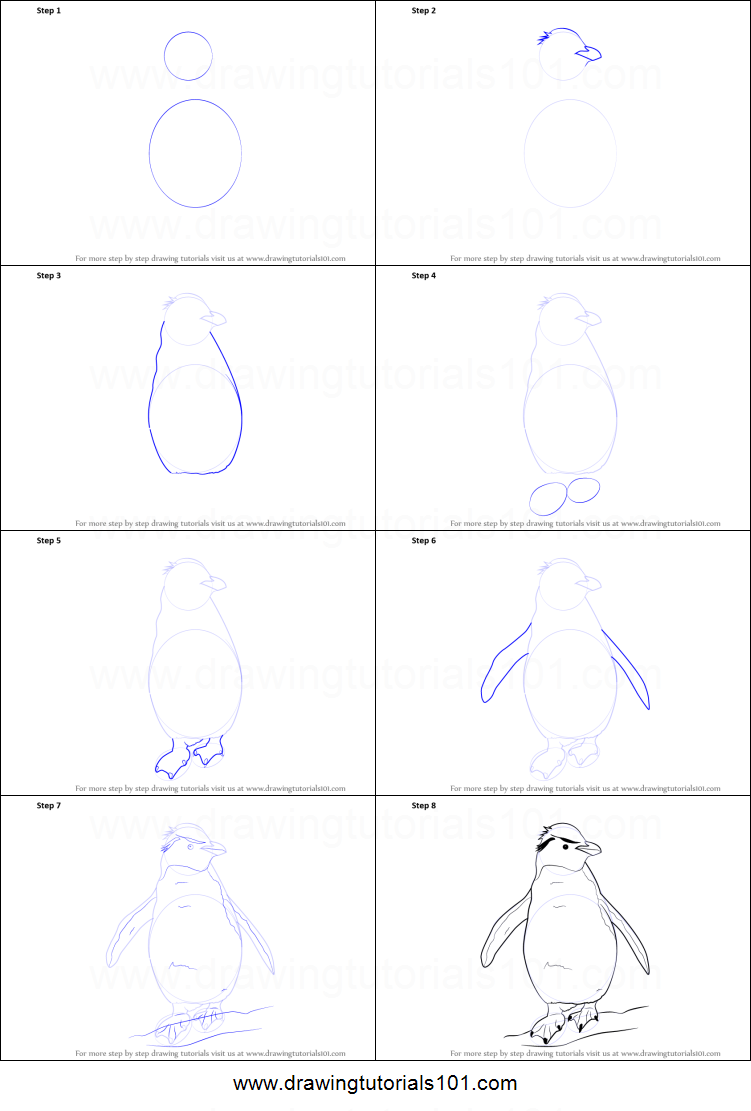 Penguin Drawing Step By Step at PaintingValley.com | Explore collection ...