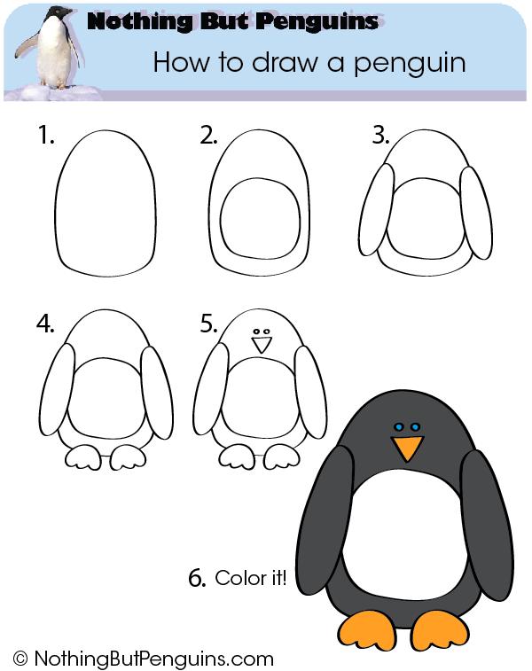 600x757 How To Draw A Penguin - Penguin Drawing Step By Step