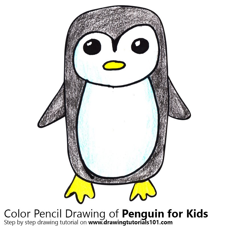 800x800 Learn How To Draw A Penguin For Kids Easy - Penguin Drawing Step By Step