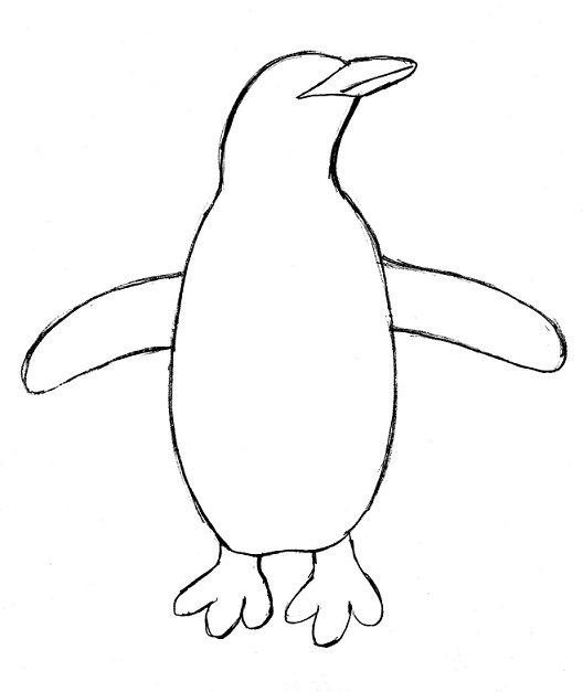 528x627 Penguin Drawing Step - Penguin Drawing Step By Step