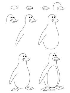 236x314 Steps To Draw A Parrot Learn How To Draw A Penguin With Simple - Penguin Drawing Step By Step