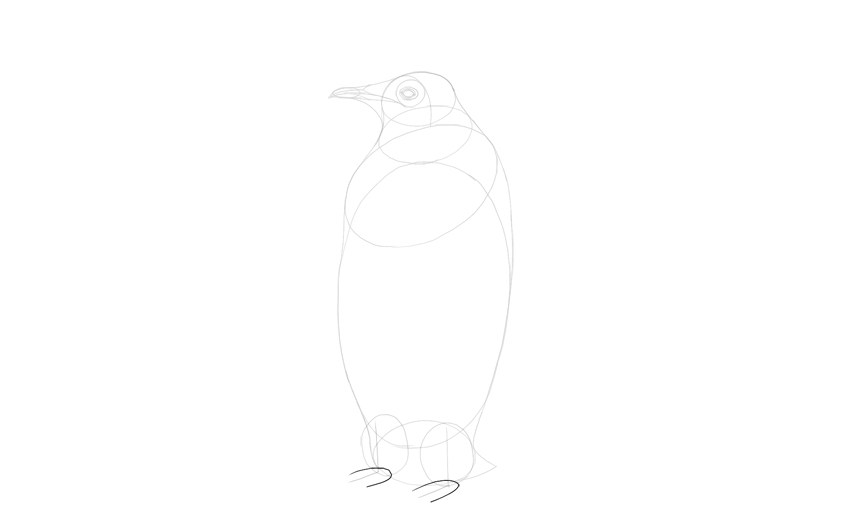 Penguin Feet Drawing at Explore collection of