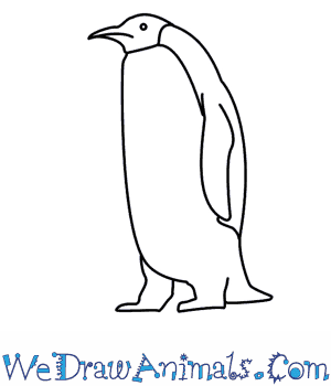 300x350 How To Draw A Penguin - Penguin Line Drawing
