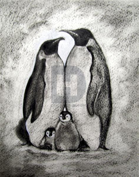 472x600 how to draw a realistic penguin, draw real penguin, step - Penguin Outline Drawing