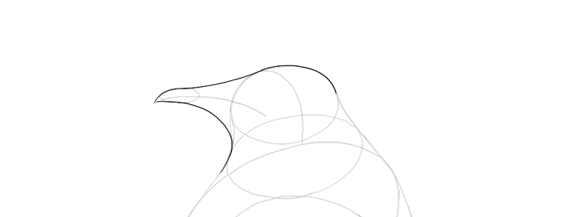 850x315 How To Draw A Penguin - Penguin Outline Drawing