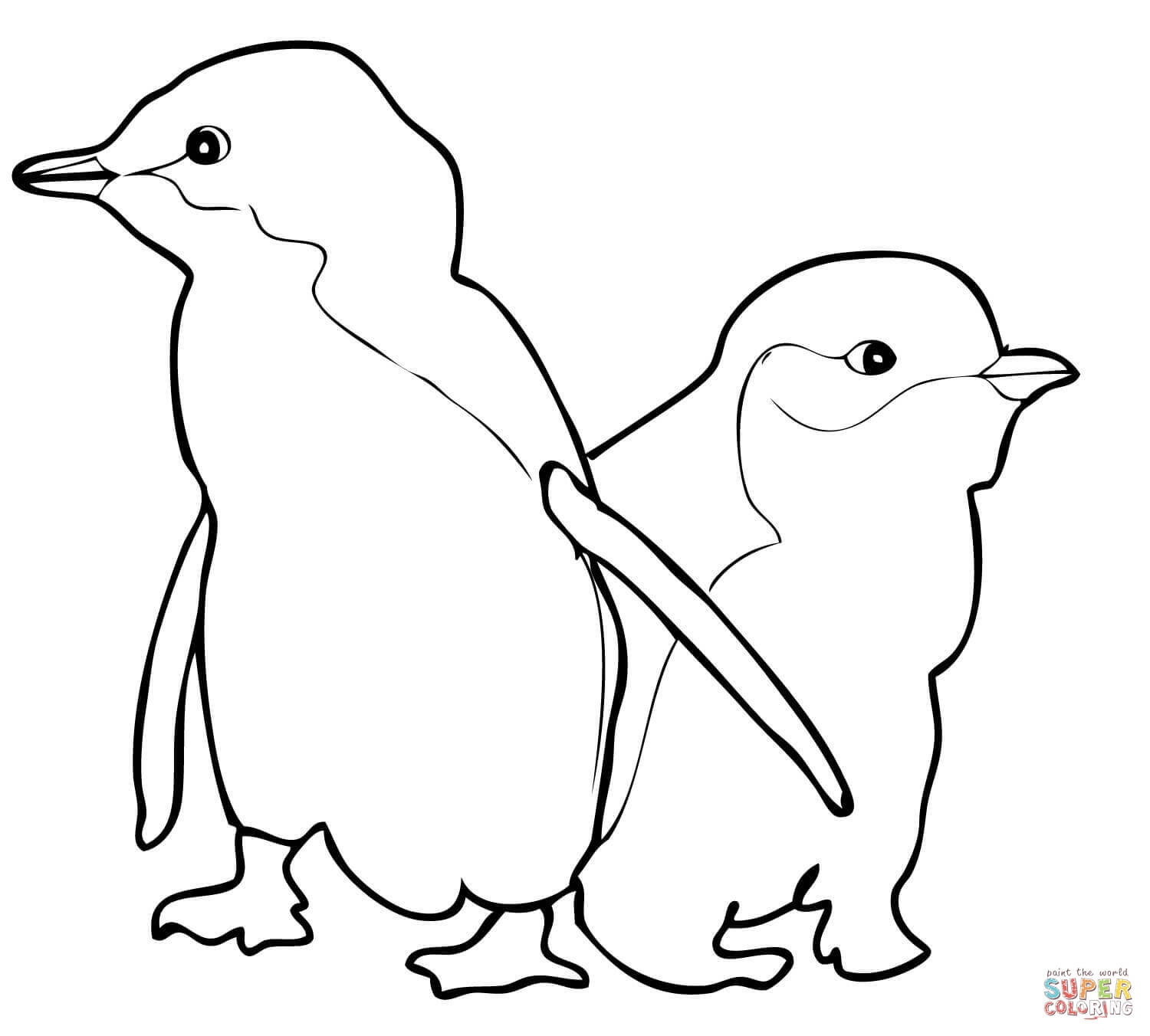 Penguin Outline Drawing at Explore collection of