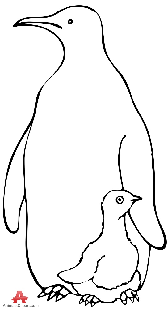 544x999 Penguin Outline Clipart - Penguin Outline Drawing