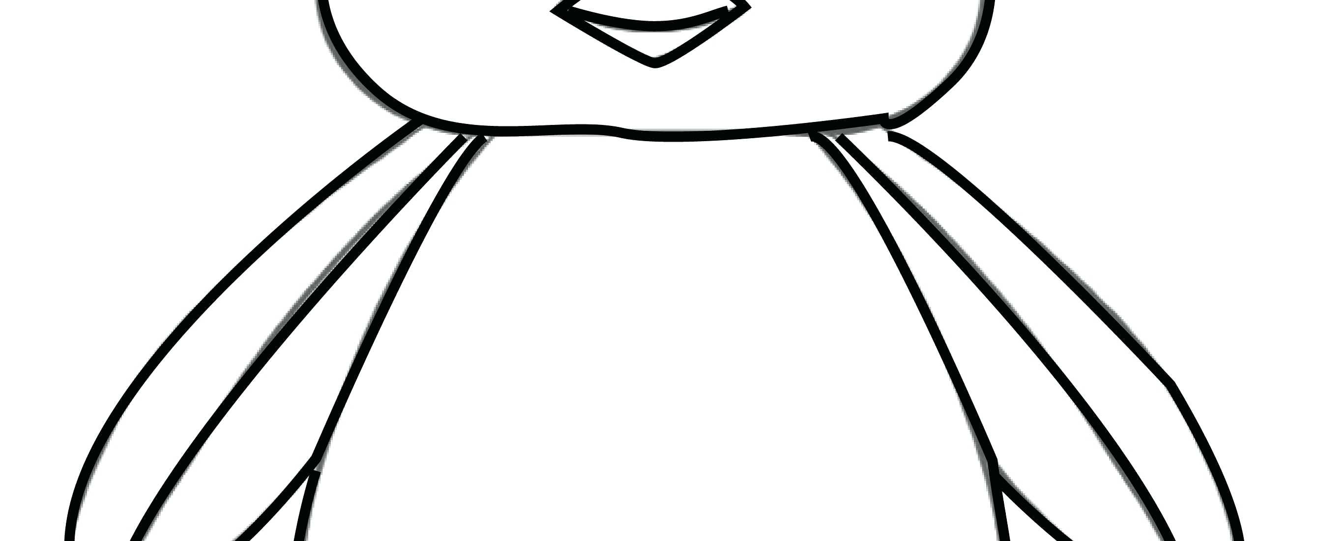 2683x1100 penguins pictures to color penguin outline drawing pictures - Penguin Outline Drawing