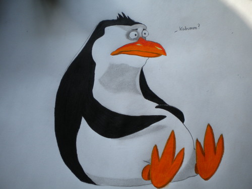 500x375 penguins of madagascar images awesome rico drawing hd wallpaper - Penguins Of Madagascar Drawing