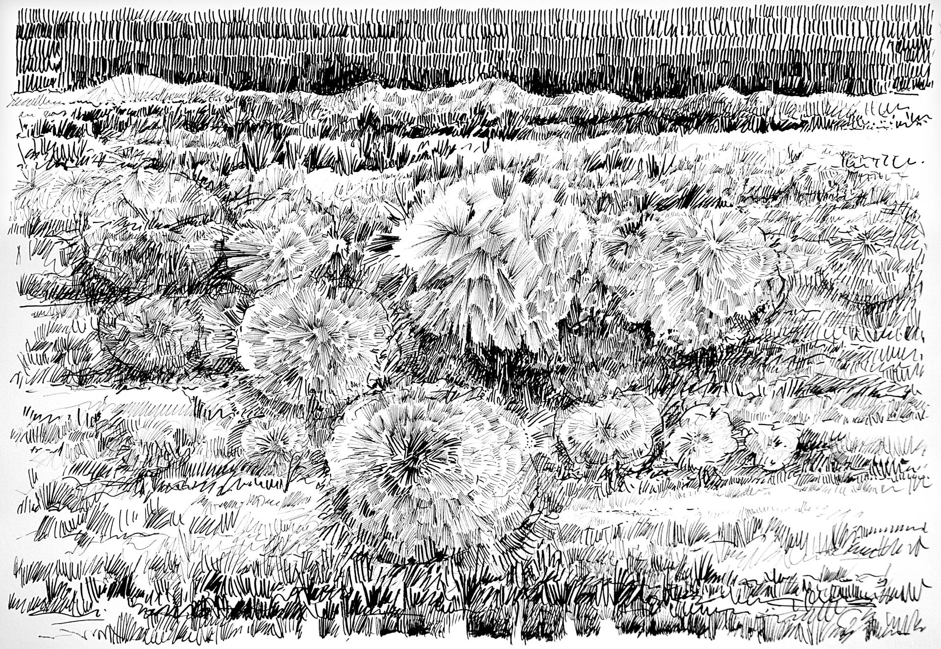 Peninsula Drawing at Explore collection of