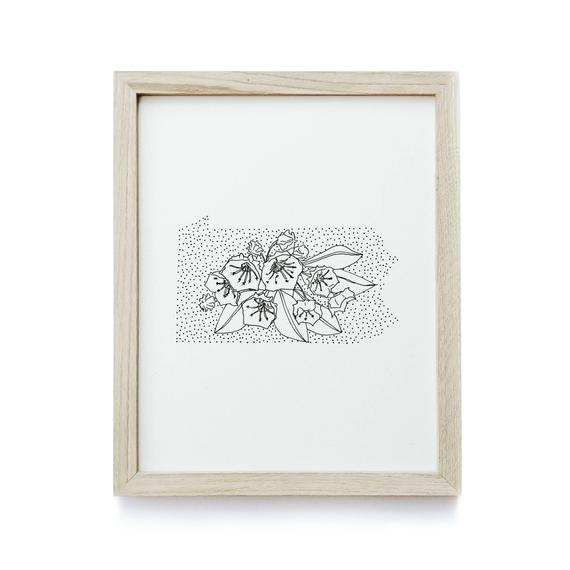 570x570 pennsylvania mountain laurel state flower drawing etsy - Pennsylvania Drawing