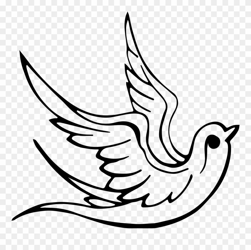 880x878 Dove Line Art - Pentecost Drawing