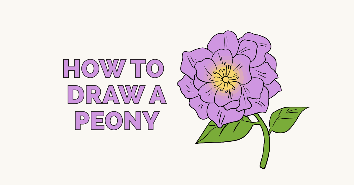 1200x628 how to draw a peony - Peony Drawing