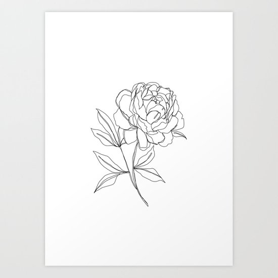 550x550 Botanical Illustration Line Drawing - Peony Drawing