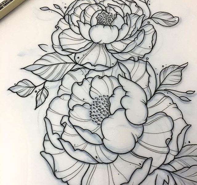 640x600 flower tattoo drawing peony flower tattoo best peonies tattoo - Peony Flower Drawing