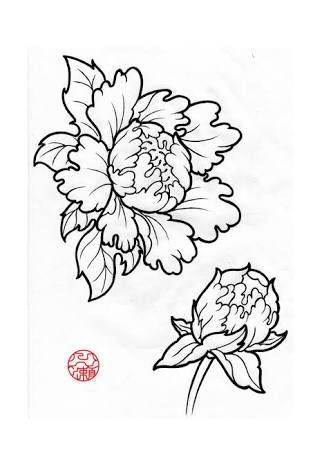 322x456 image result for peony line drawings porcelain painting - Peony Line Drawing