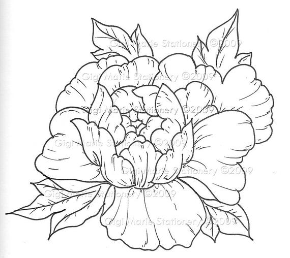 570x508 instant download digital line art digital tattoo line drawing etsy - Peony Line Drawing