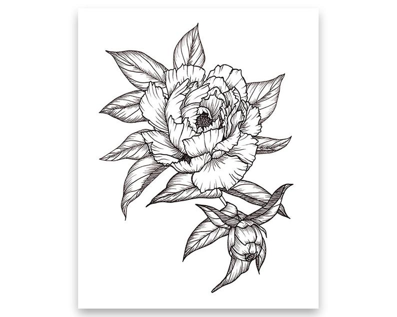 794x635 peony floral arrangement art print of pen illustration etsy - Peony Line Drawing