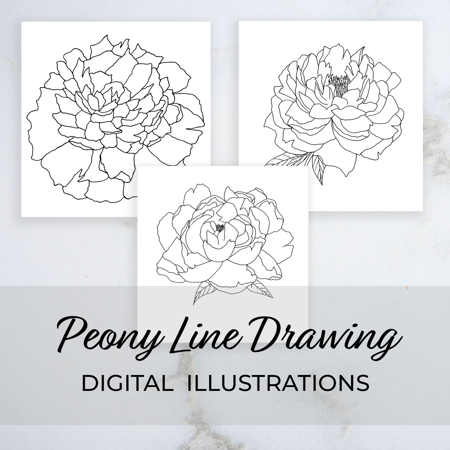 1500x1500 The Tud Shop Things Unseen Designs - Peony Line Drawing