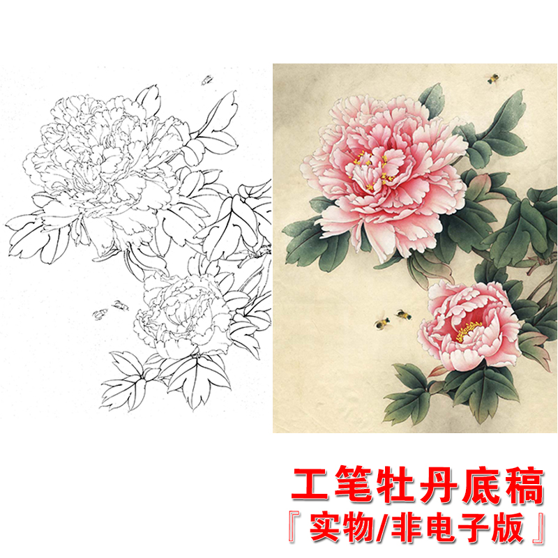 800x800 Usd High Definition Fine Grained Painting Material - Peony Line Drawing