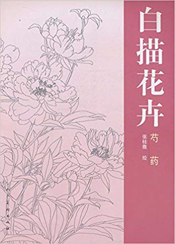 357x499 line drawing of flowers peony - Peony Line Drawing