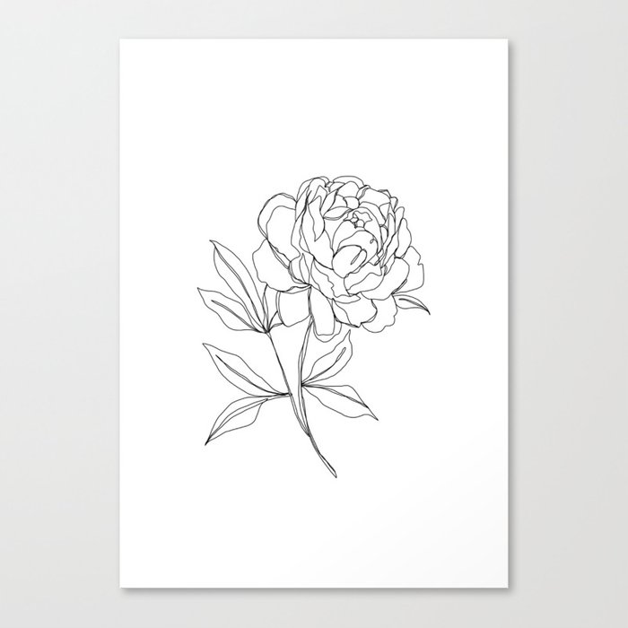 700x700 Botanical Illustration Line Drawing - Peony Line Drawing