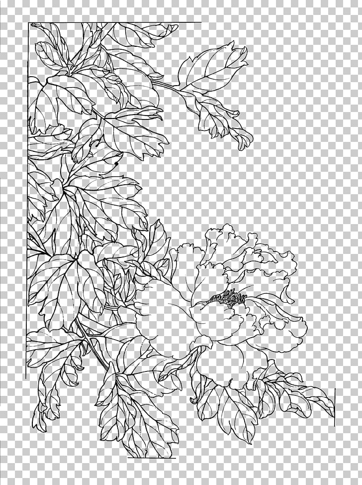 728x974 Gongbi Chinese Painting Flower Sketch, Peony Flower Painted Line - Peony Outline Drawing