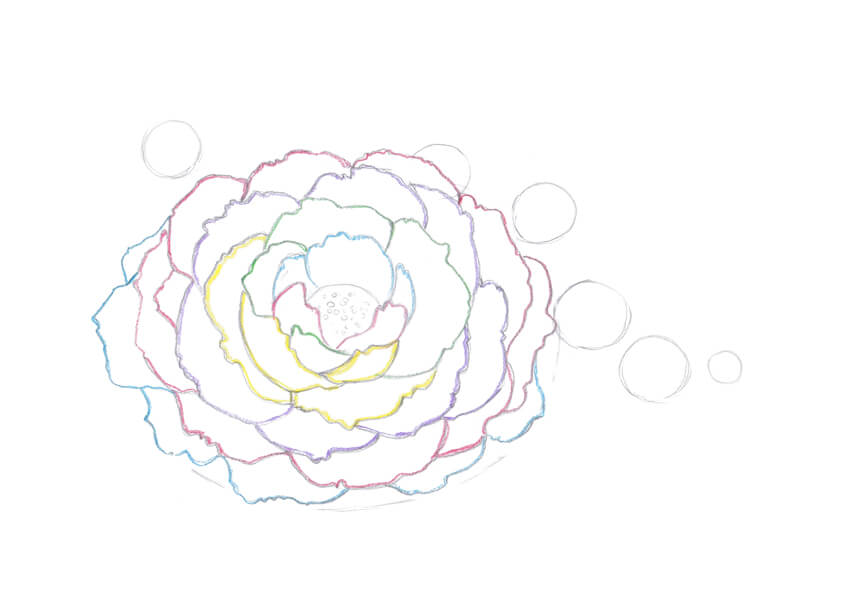 850x610 How To Draw Spring Flowers With Colored Pencils - Peony Outline Drawing