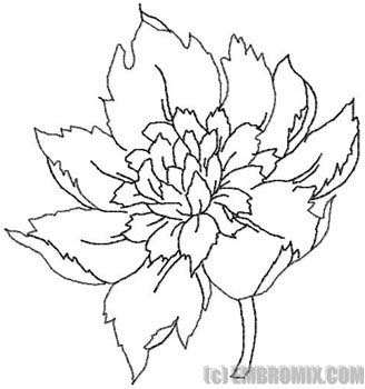 328x350 Huge Collection Of 'japanese Peony Drawing' Download More Than - Peony Outline Drawing