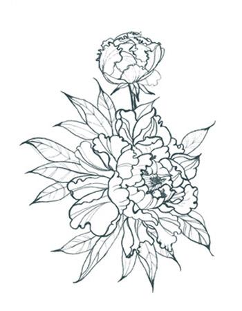 350x450 Peonies Outline Alt - Peony Outline Drawing
