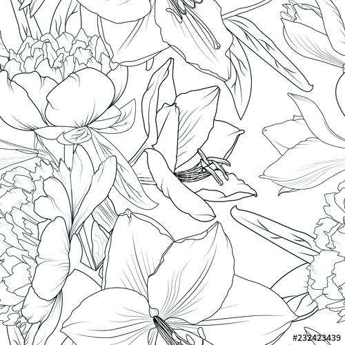500x500 Peony And Lily Flowers Seamless Pattern Texture Black White Flower - Peony Outline Drawing