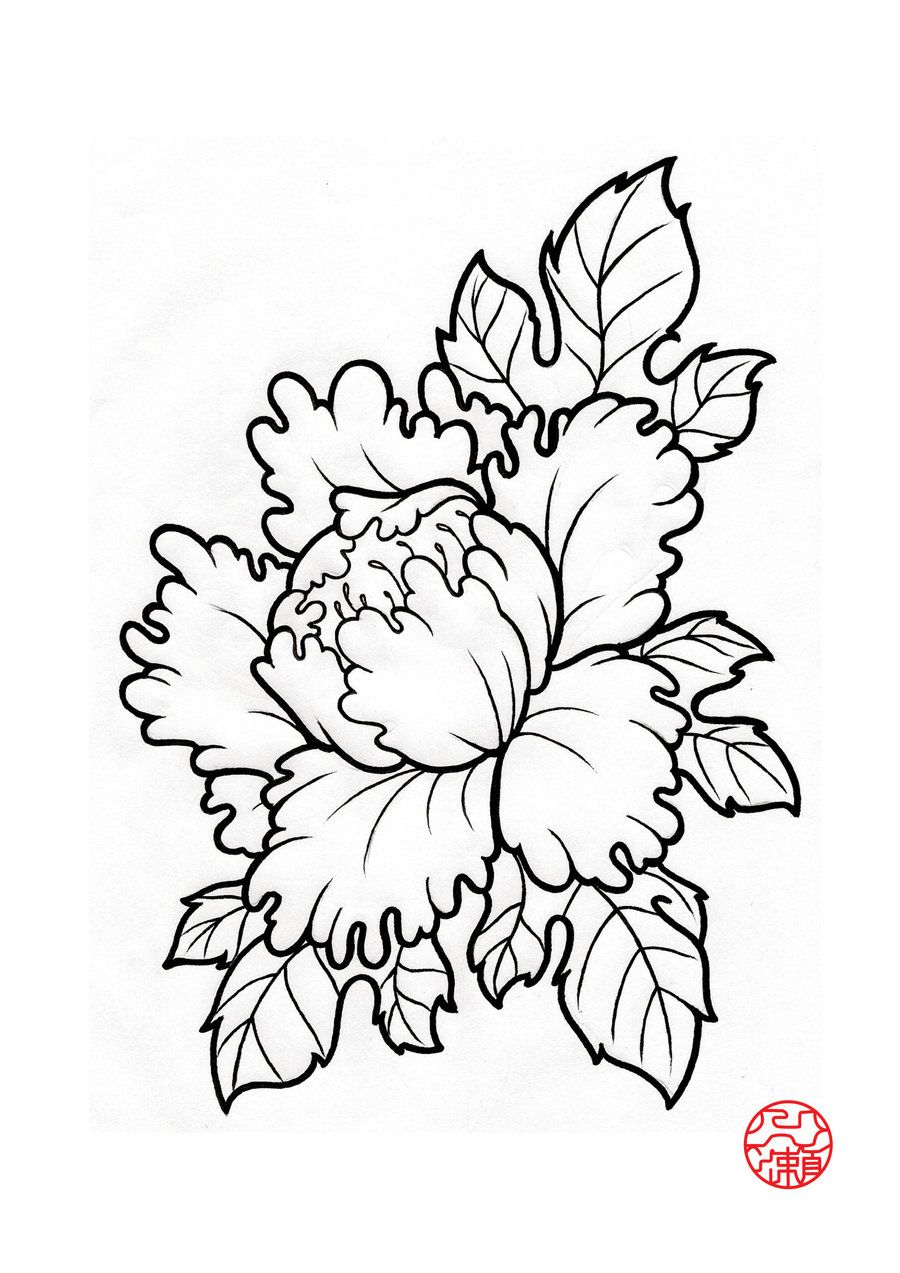 900x1273 peony drawing peonies drawing tattoos peony flower tattoos - Peony Outline Drawing