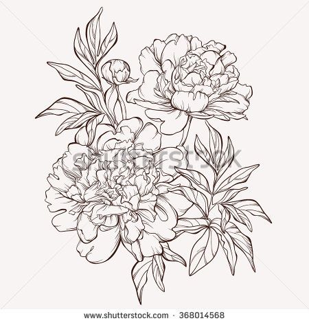 450x470 Peony Flower Drawing Outline - Peony Outline Drawing