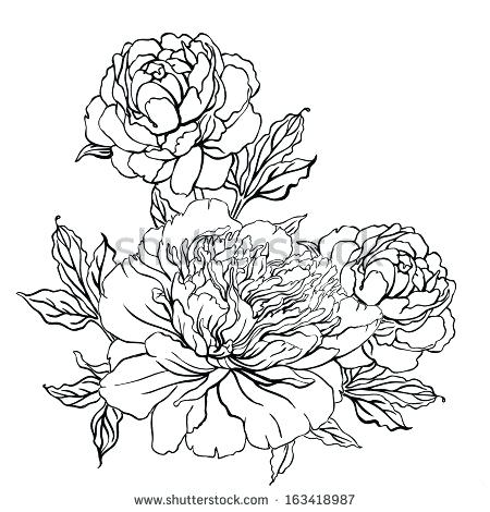 450x470 flower drawing outline stylized flower bquet hand drawing flower - Peony Outline Drawing