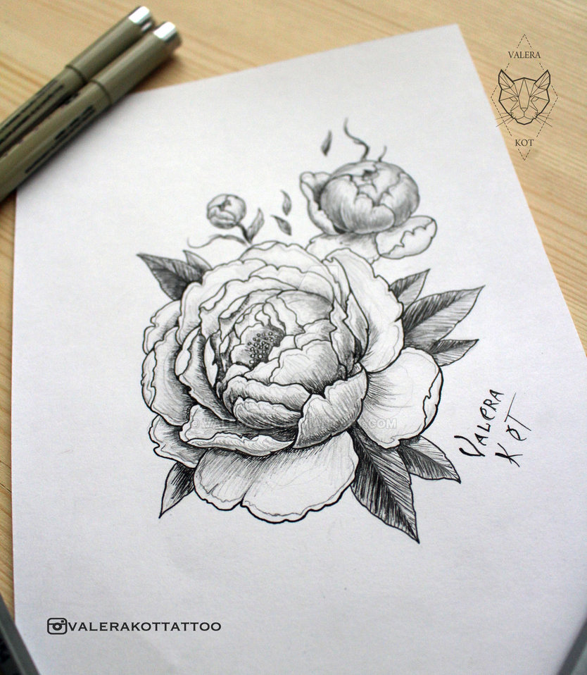 834x958 New Tattoo Sketch Peony - Peony Tattoo Drawing