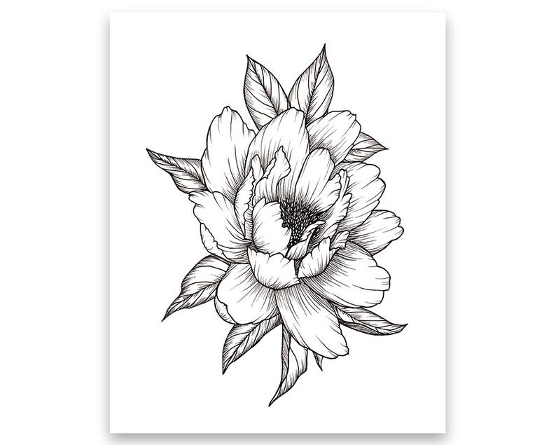 794x635 Peony Flower Art Print Of Pen Illustration Flower Drawing Etsy - Peony Tattoo Drawing