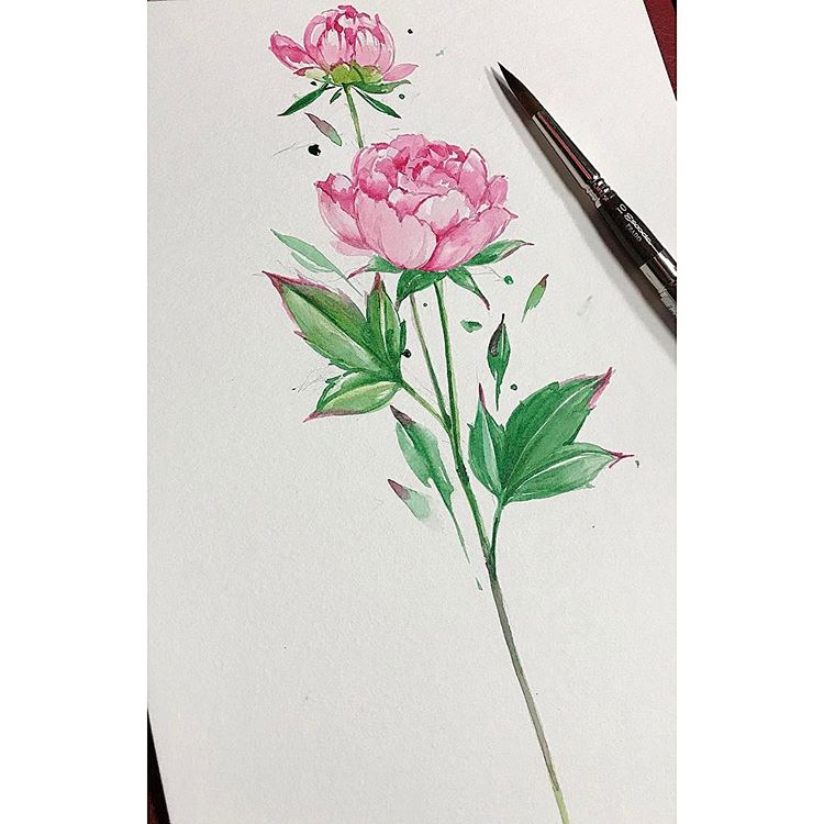 750x750 peony tattoo done - Peony Tattoo Drawing