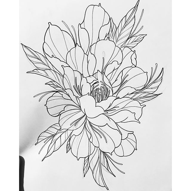 Peony Tattoo Drawing at Explore collection of