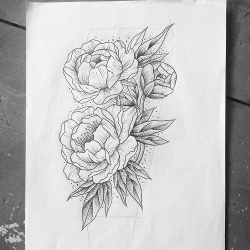 500x500 Peony Tattoo Line Drawing - Peony Tattoo Drawing