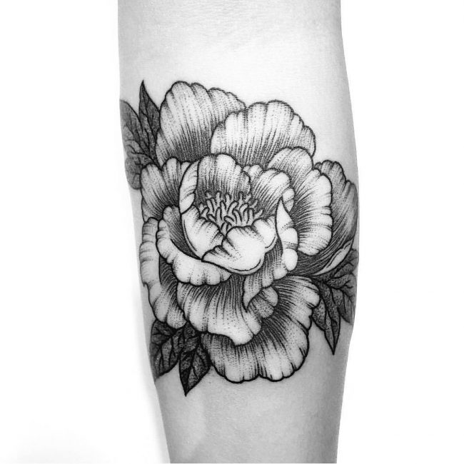 650x650 adorable peony tattoo designs for men - Peony Tattoo Drawing