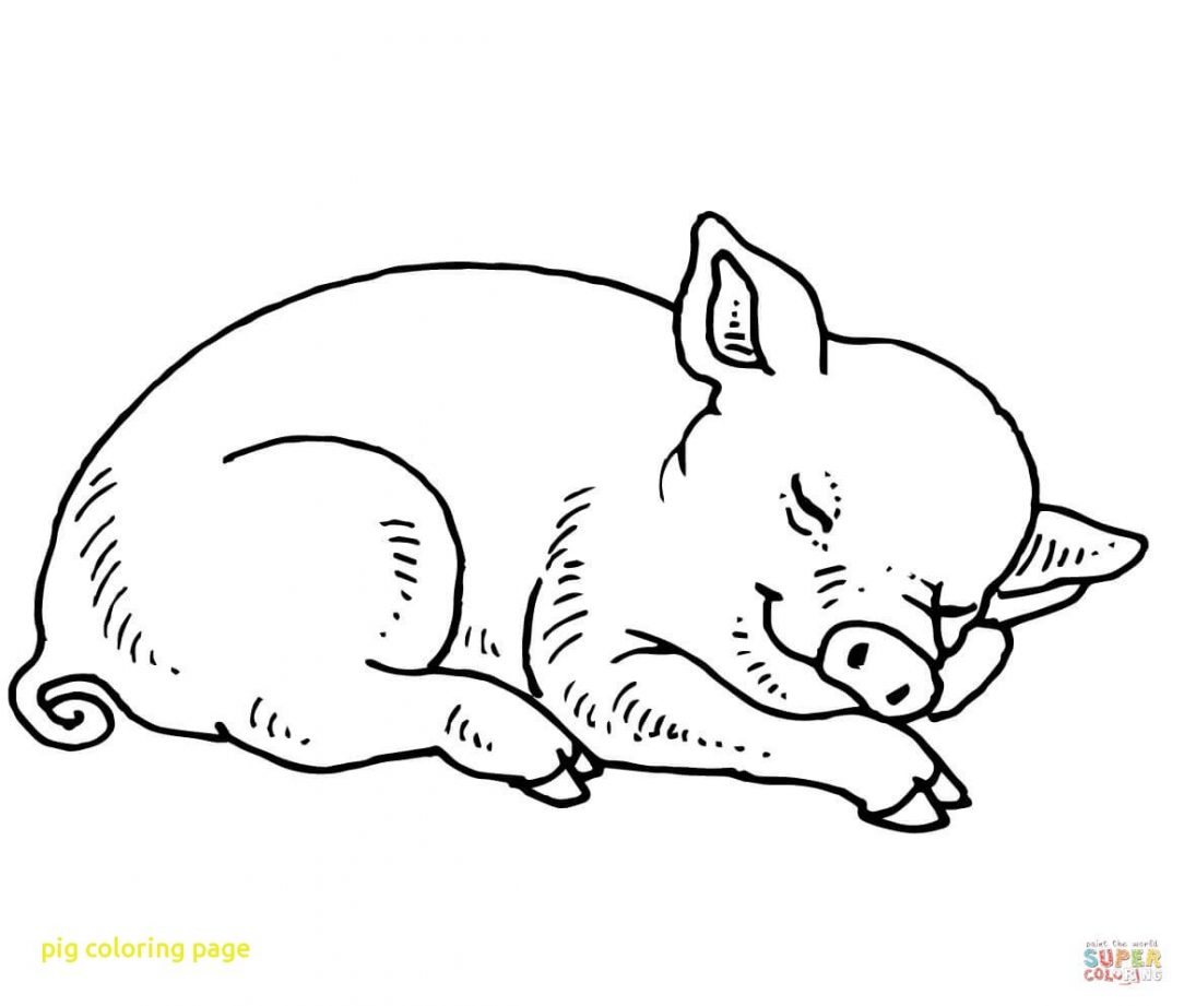 1084x921 peppa pig drawing easy step - Peppa Drawing