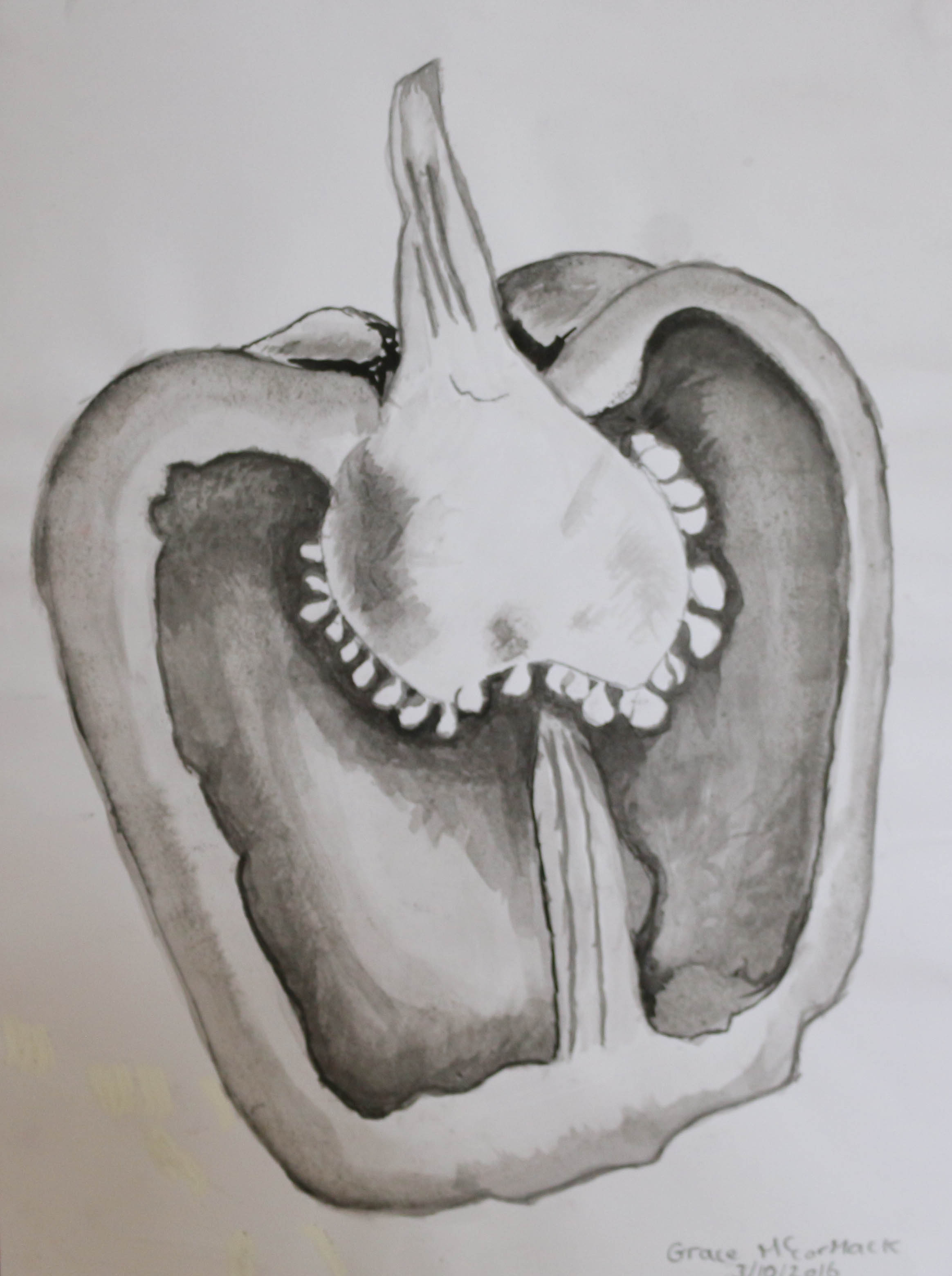 2328x3120 Decay - Pepper Drawing