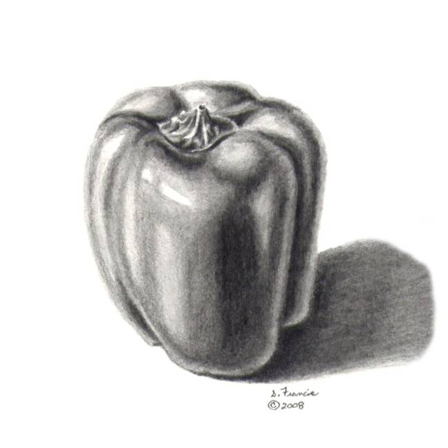 650x650 drawing pepper drawings and illustrations for sale on fine art - Pepper Drawing