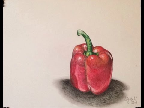 480x360 realistic pepper drawing - Pepper Drawing