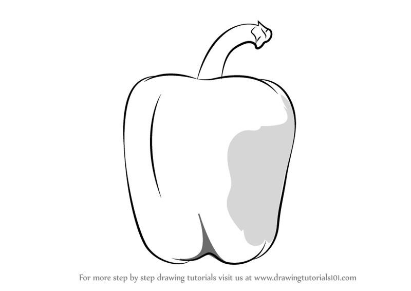 800x566 learn how to draw a green pepper - Pepper Drawing