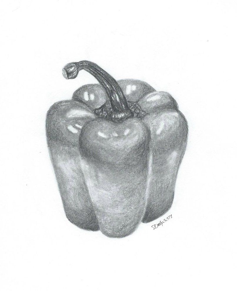 Pepper Drawing at Explore collection of Pepper Drawing