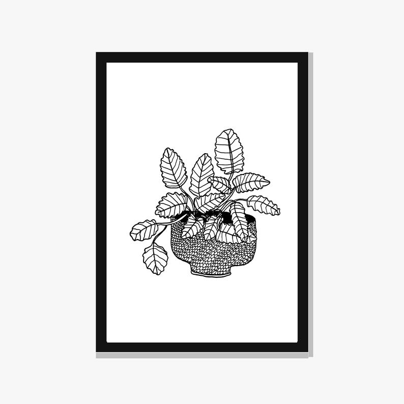 794x794 printable mint plant peppermint plant illustration plant etsy - Peppermint Drawing