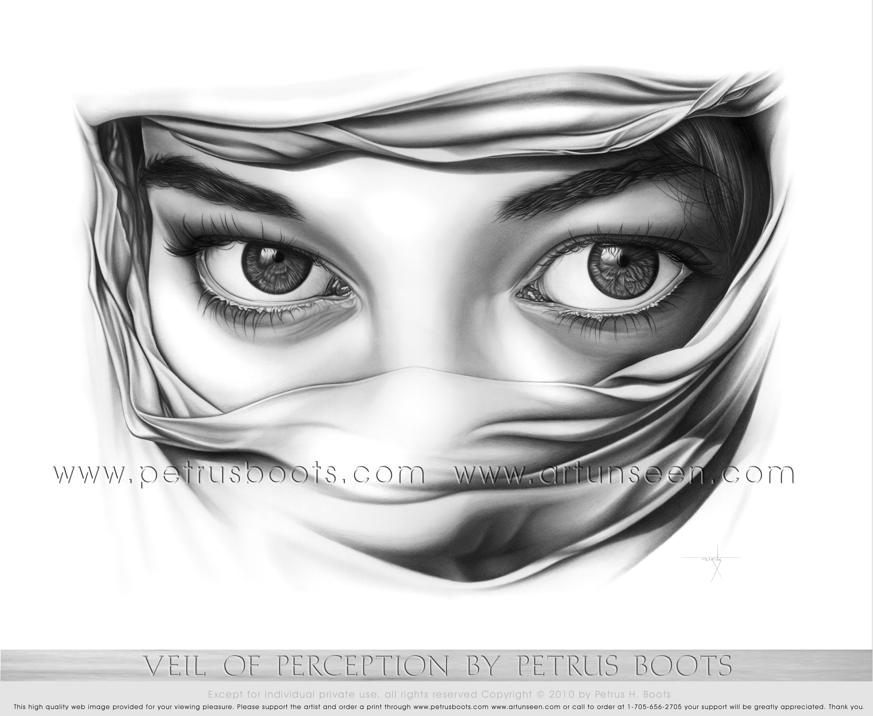 3000x2459 new graphite pencil drawing - Perception Drawing