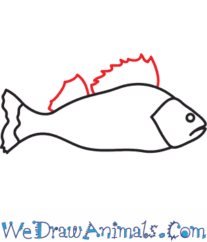 300x350 how to draw a perch - Perch Drawing